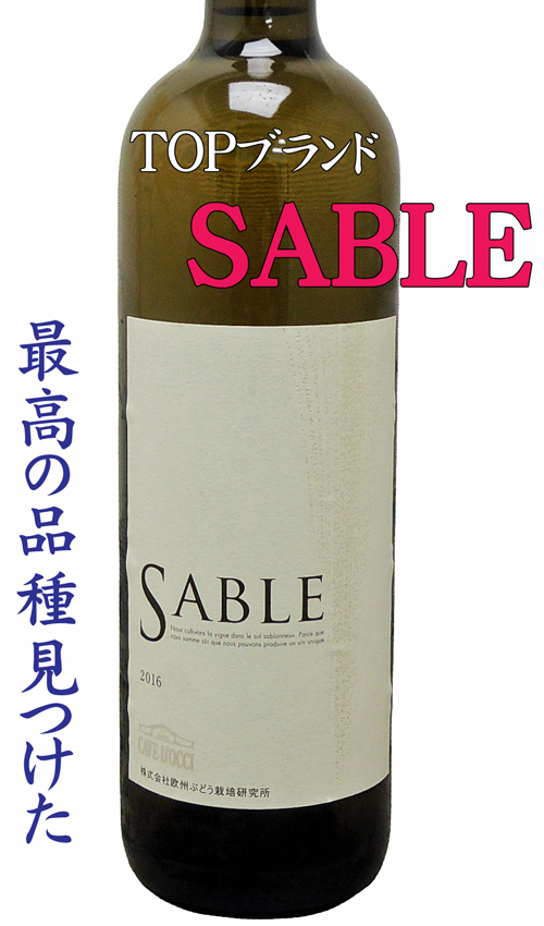 カーブ・ドッチ SABLE 白 2015