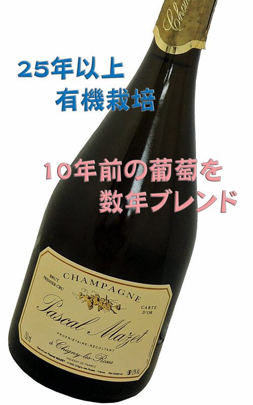 ★PASCAL MAZET パスカル・マゼ シャンパーニュ Brut – Carte d’Or ブリュット カルト ドール