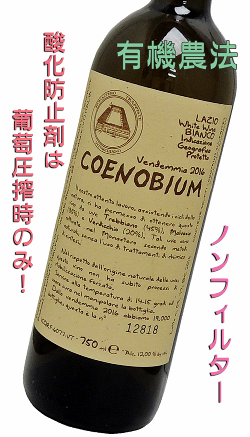 コエノビウム2016 生産者モナステーロ・ディ・ヴィトルキアーノ