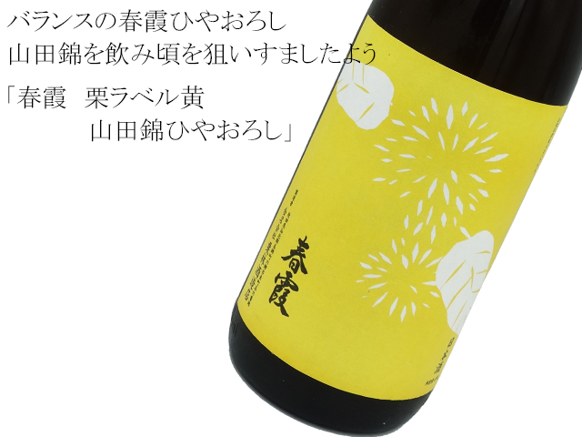 春霞 栗ラベル黄 山田錦