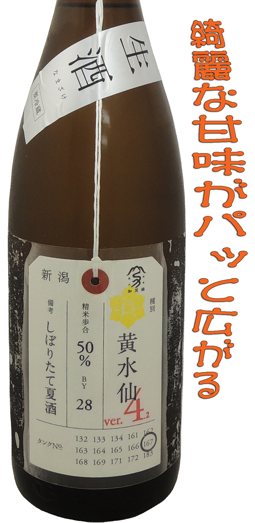 加茂錦 荷札酒 黄水仙(きすいせん)純米大吟醸生酒ver.4.2 13度