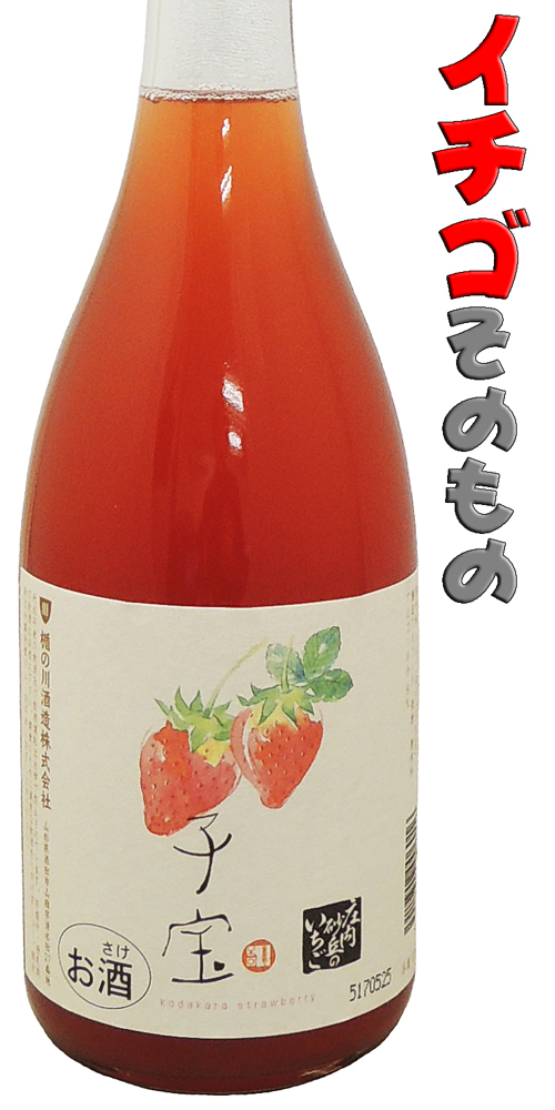 子宝 庄内砂丘いちご 限定品
