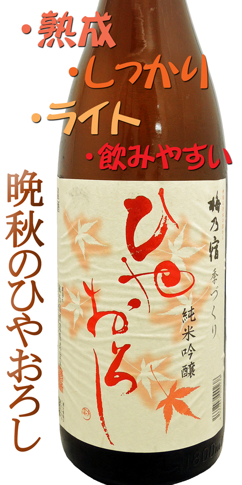 梅乃宿 山廃純米吟醸 ひやおろし