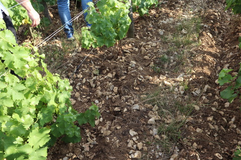 Alexandre Bain アレクサンドル バン