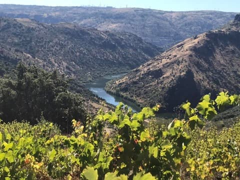 アリバス・ワイン・カンパニー