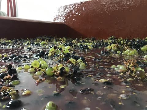 アリバス・ワイン・カンパニー