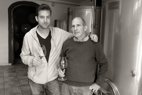 BODEGAS SENTENCIA ボデガス・センテンシア