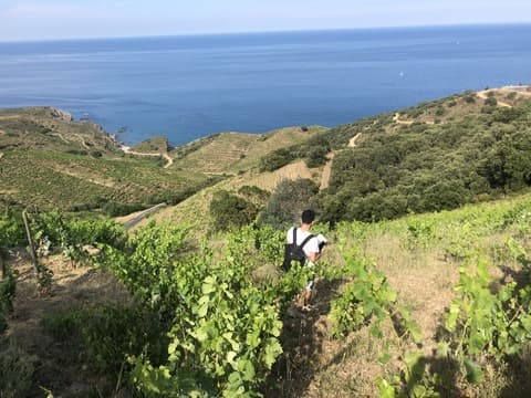 CASOT DES MAILLOLES カゾ・デ・マイヨール