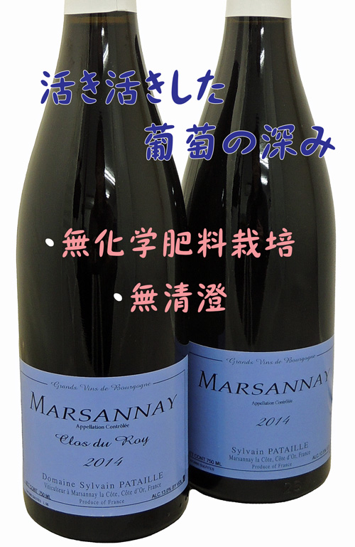 DOMAINE SYLVAIN PATAILLE / Marsannay