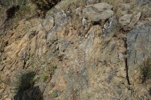 ドメーヌ・レオニヌ