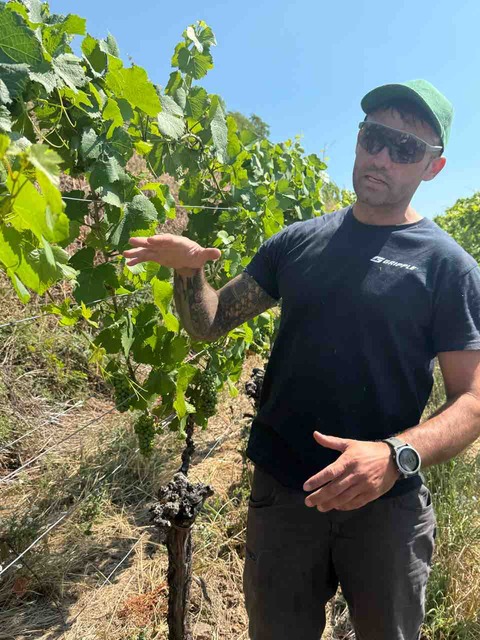 Domaine-Muller-Koeberle_ph01