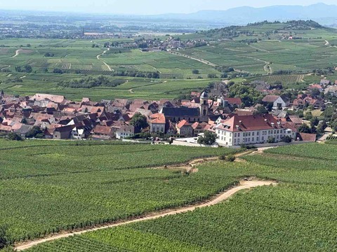 Domaine-Muller-Koeberle_ph02