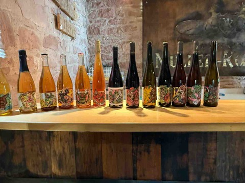 Domaine-Muller-Koeberle_ph03