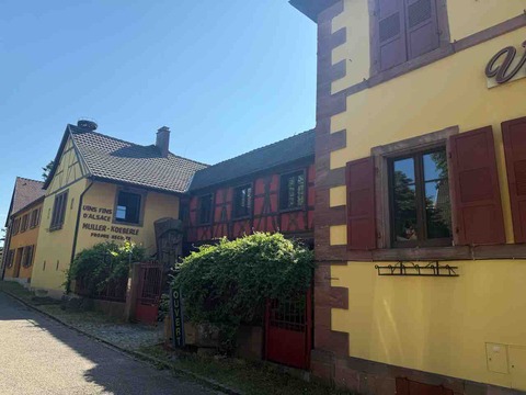 Domaine-Muller-Koeberle_ph04