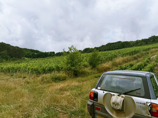 Domaine-Pattes-Loup_ph010