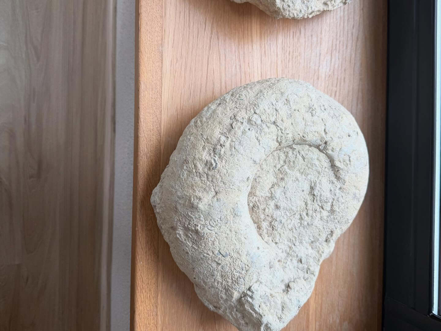 Domaine-Pattes-Loup_ph011