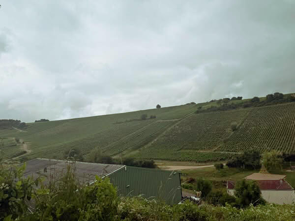 Domaine-Pattes-Loup_ph020