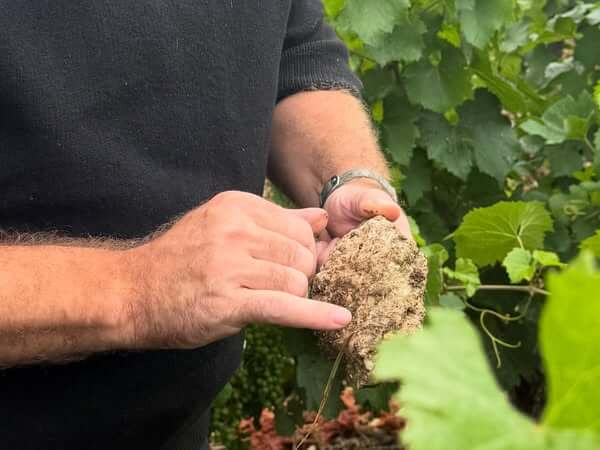 Domaine-Pattes-Loup_ph08