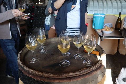 Le Raisin a plume ル・レザン・ア・プリュム