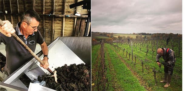 Domaine Les Grandes Vignes