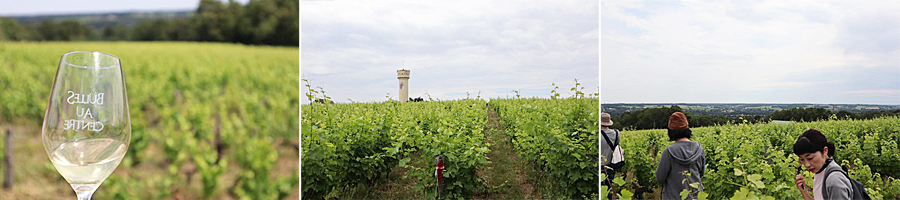 メゾン・ブリュレ