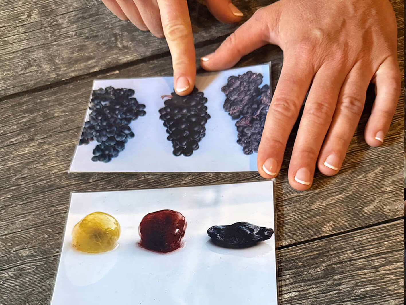 Marcel-Lapierre_ph011