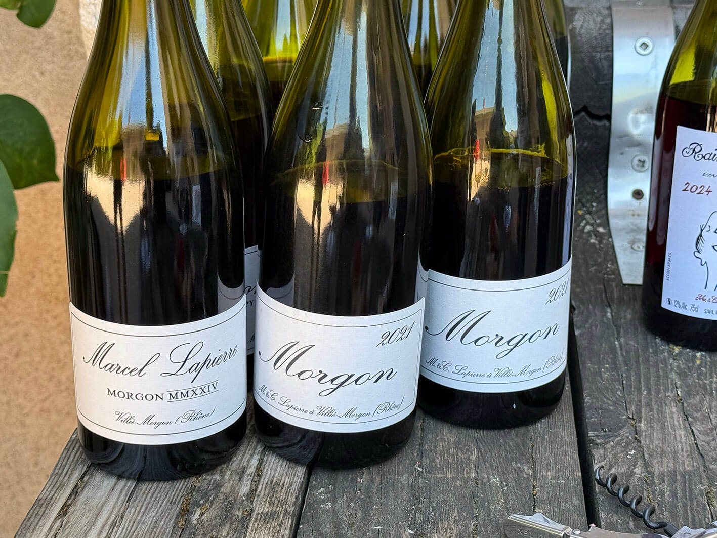 Marcel-Lapierre_ph017