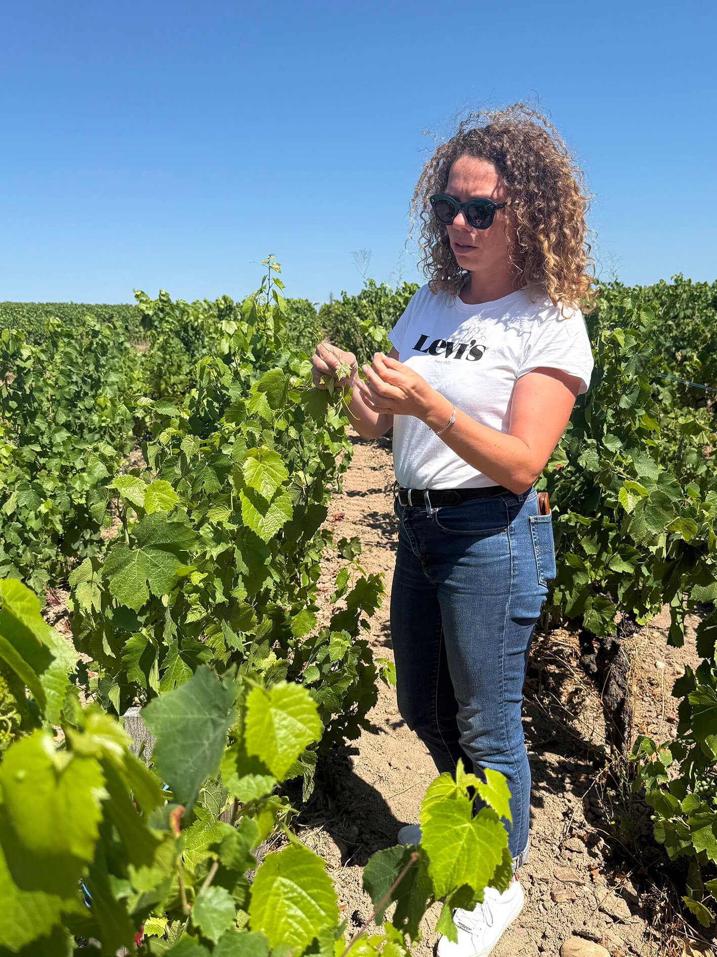 Marcel-Lapierre_ph05