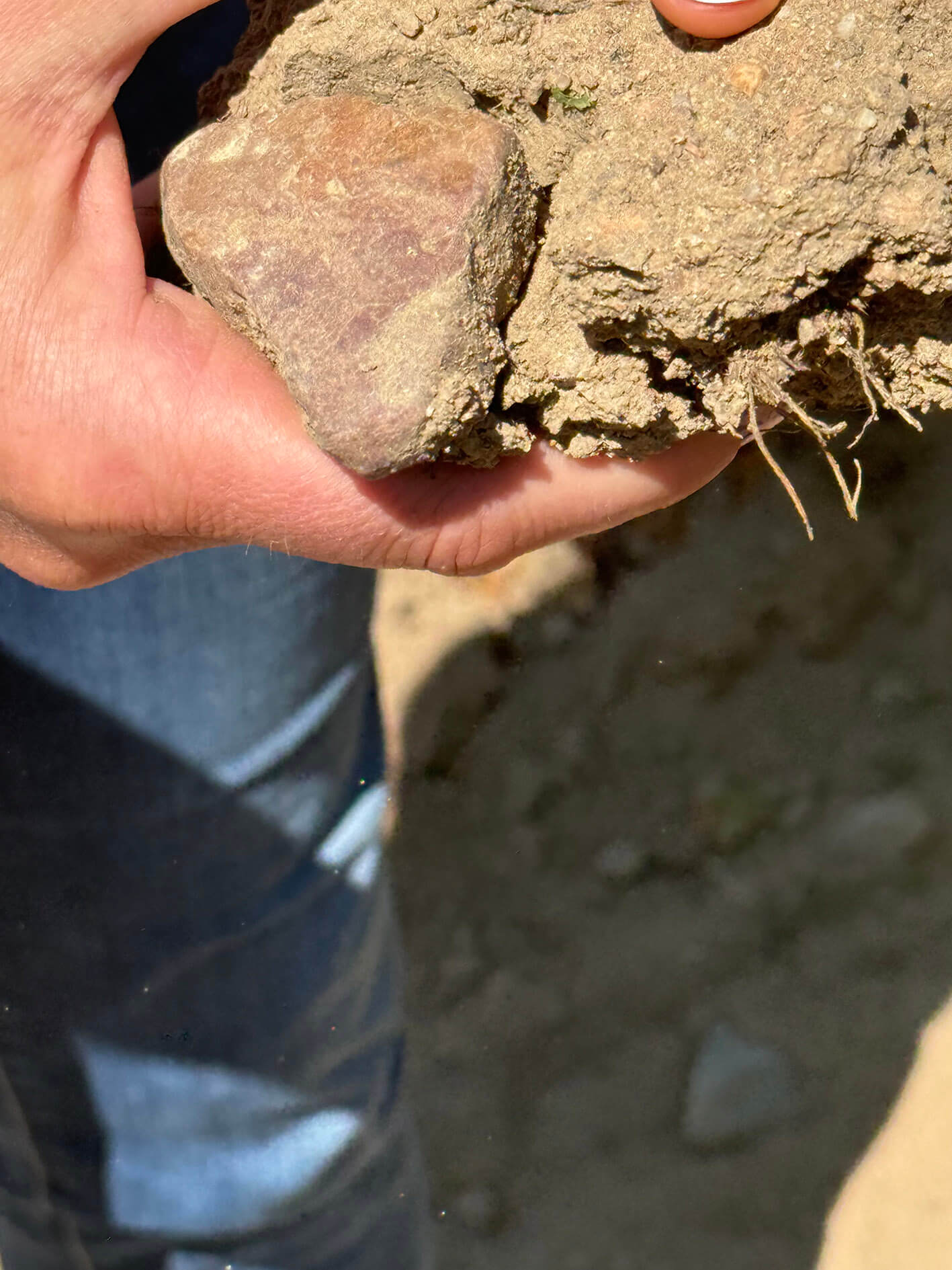 Marcel-Lapierre_ph06