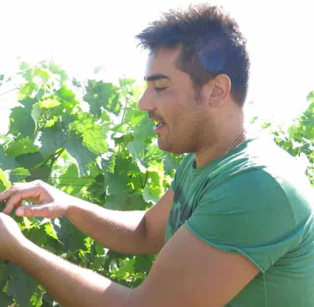 ピアーナ・デイ・カステッリ　Piana dei Castelli