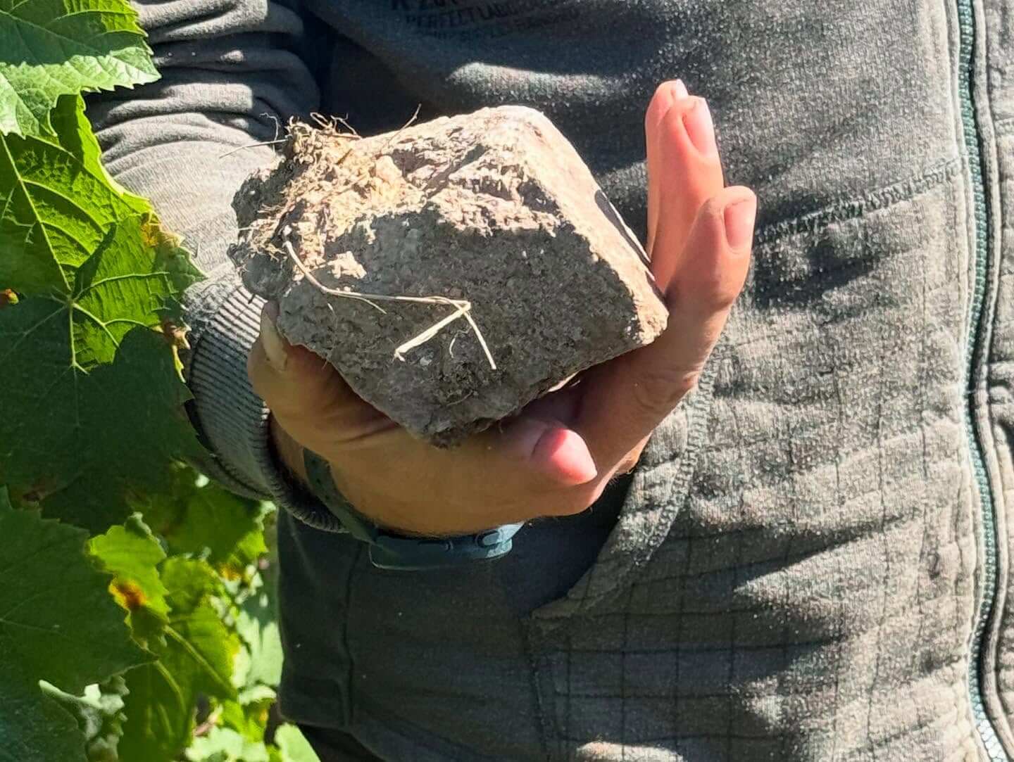 Yann_Bertrand_2025_ph1