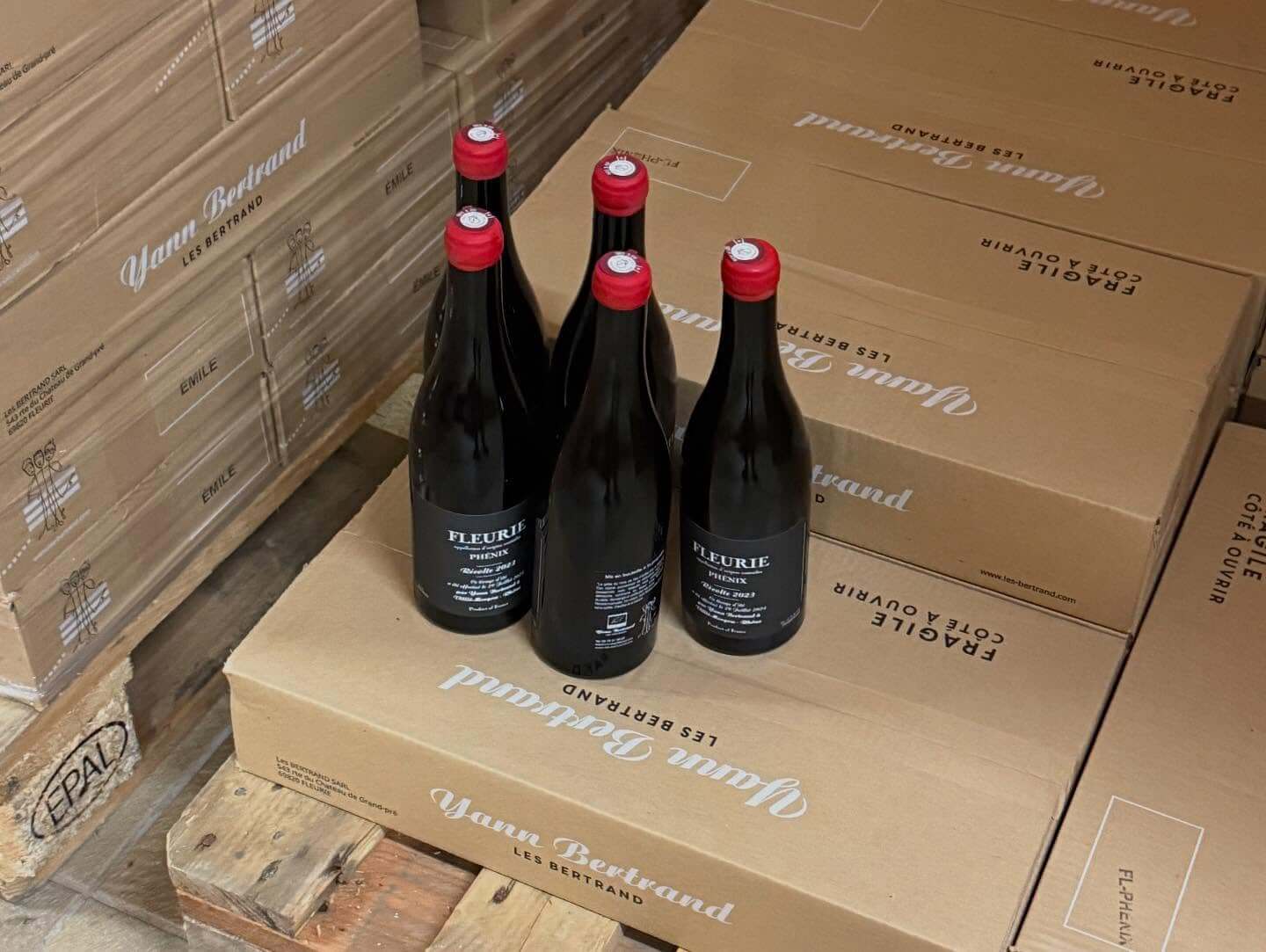 Yann_Bertrand_2025_ph6