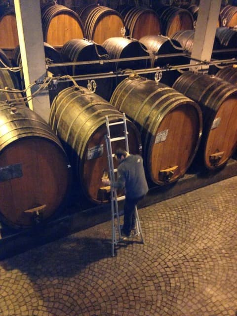 ZAGO PROSECCO