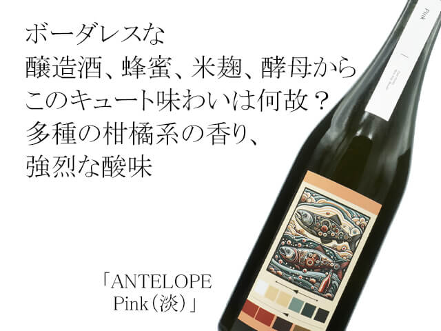 ANTELOPE　Pink（淡）（テキスト付）