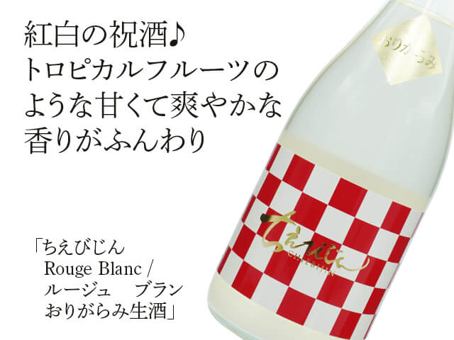 ♡美品♡ ひめゆり倶楽部 サイズ2 青 ブルー 碧姫（あおいひめ）｜Re:JINさんのガンプラ作品｜GUNSTA（ガンスタ）