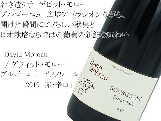 David Moreau / ダヴィッド・モロー　 ブルゴーニュ　ピノノワール2019　赤・辛口（テキスト付）