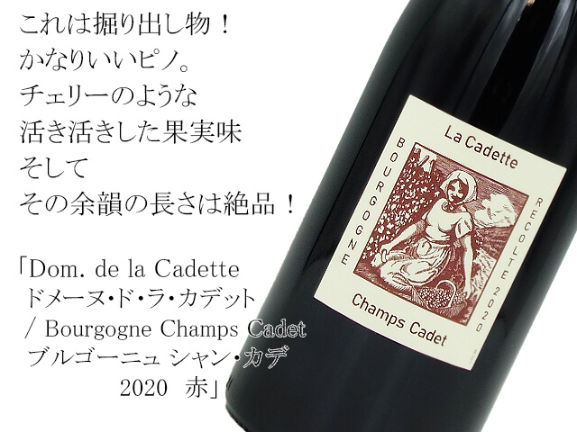 Dom. de la Cadetteドメーヌ・ド・ラ・カデット /  Bourgogne Champs Cadet　ブルゴーニュ シャン・カデ　2020　赤（テキスト付）