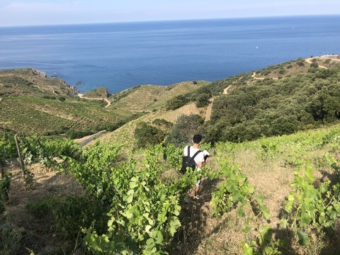 domaine-bruno-duchene_ph03