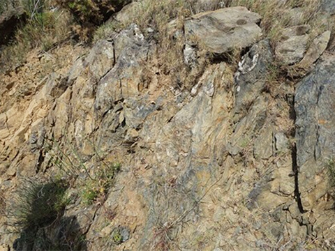 ドメーヌレオニヌイメージ２