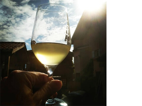 ドメーヌ・ロベール・ドゥノジャン イメージ４