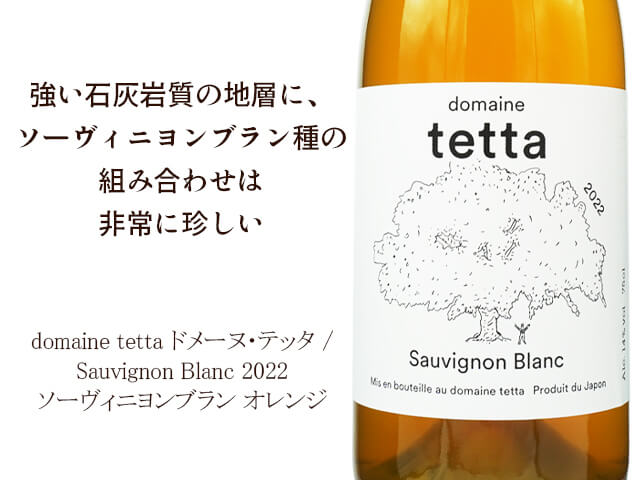 domaine tetta ドメーヌ・テッタ / Sauvignon Blanc ソーヴィニヨンブラン 2022(テキスト付)