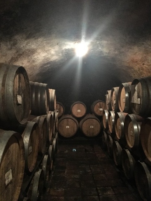 Chianti Classico キャンティ・クラッシコ