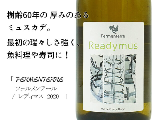 FERMENTERRE / フェルメンテール READYMUS / レディマス　白　2020（テキスト付）