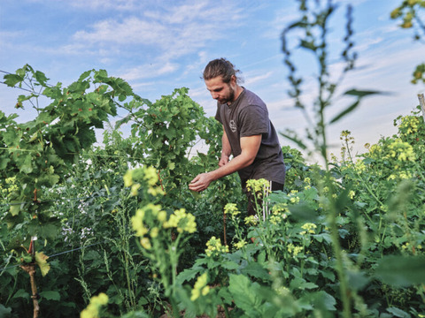 georg-lingenfelder_ph001