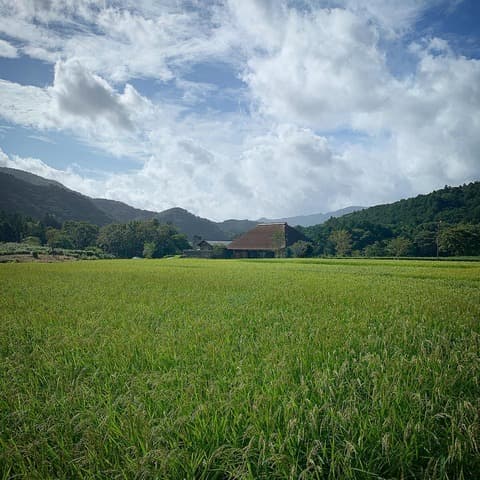 酒屋八兵衛　KINO/帰濃