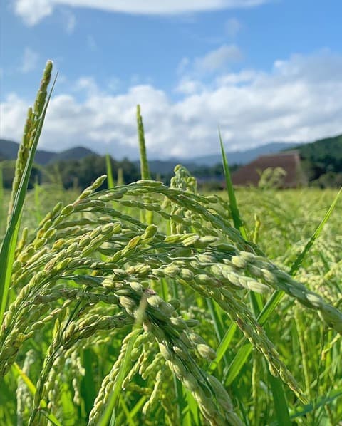 酒屋八兵衛　KINO/帰濃