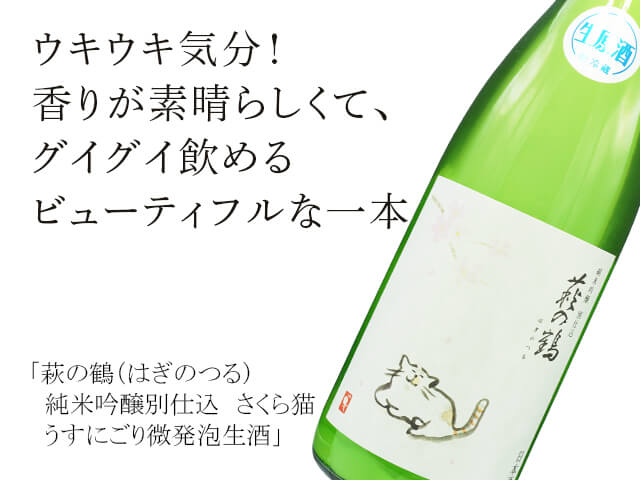 はるの 灰桜（はいざくら）｜扇子｜うちわ・扇子｜商品を探す｜新日本