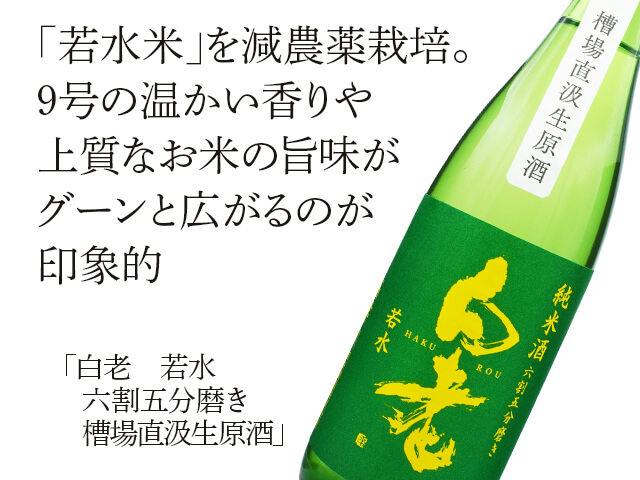 白老（はくろう） 純米酒 若水 六割五分磨き 槽場直汲生原酒 720ml