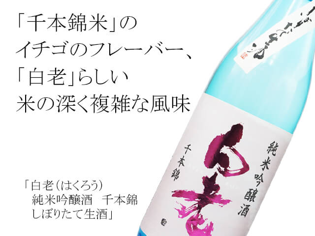 こんにちワン様専用 牛乳瓶ふた 10枚