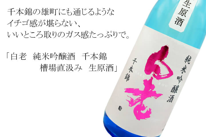 白老　純米吟醸酒　千本錦　槽場直汲み　生原酒